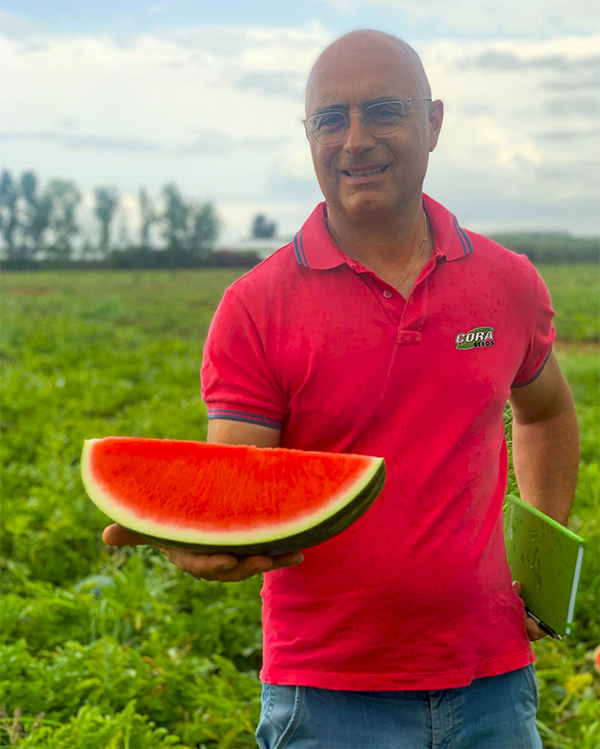 Marco Landi, Area Manager Centro-Sud Italia e Crop Manager Anguria della società